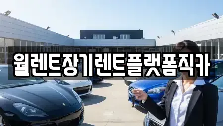 서울특별시 강서구 등촌동 장기렌트카 전문 월렌트장기렌트플랫폼직카