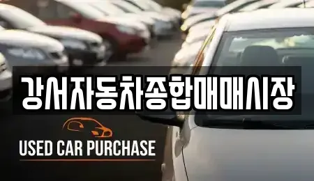 서울특별시 강서구 등촌동 중고차 전문 강서자동차종합매매시장