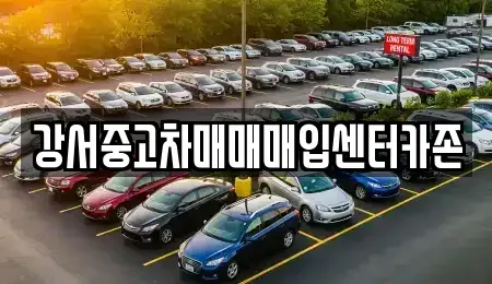 서울특별시 강서구 등촌동 중고차 전문 강서중고차매매매입센터카존
