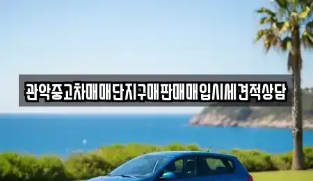 서울특별시 관악구 신림동 중고차 전문 관악중고차매매단지구매판매매입시세견적상담