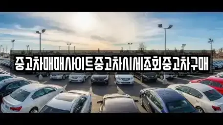 서울특별시 관악구 신림동 중고차 전문 중고차매매사이트중고차시세조회중고차구매