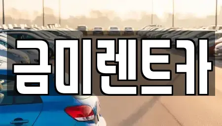 서울특별시 구로구 단기렌트카 전문 금미렌트카