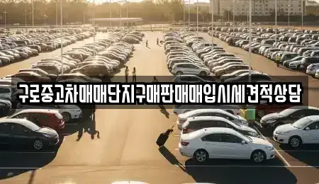 서울특별시 구로구 중고차매매 전문 구로중고차매매단지구매판매매입시세견적상담