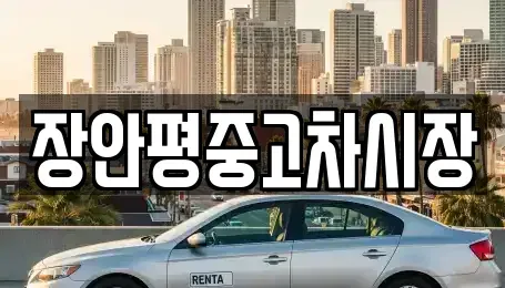 서울특별시 구로구 천왕동 중고차매매 전문 장안평중고차시장