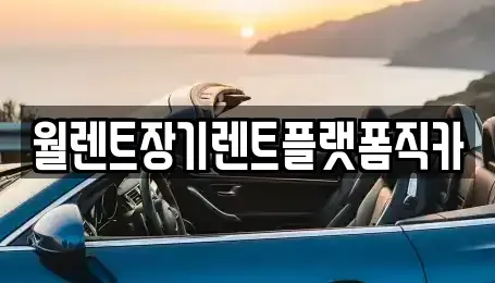 서울특별시 동대문구 회기동 장기렌트카 전문 월렌트장기렌트플랫폼직카