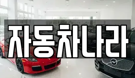 서울특별시 동대문구 회기동 중고차 전문 자동차나라