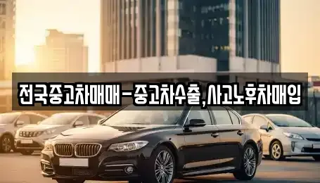 서울특별시 동대문구 회기동 중고차 전문 전국중고차매매-중고차수출,사고노후차매입