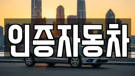 서울특별시 동작구 대방동 중고차매매 전문 인증자동차