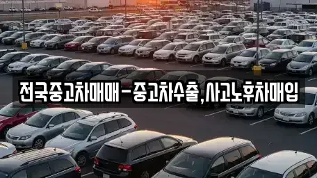 서울특별시 동작구 대방동 중고차매매 전문 전국중고차매매-중고차수출,사고노후차매입