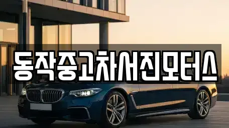 서울특별시 동작구 상도동 중고차 전문 동작중고차서진모터스