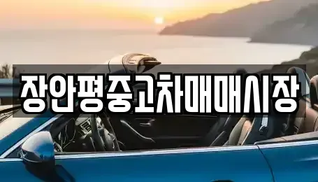 서울특별시 마포구 신공덕동 중고차매매 전문 장안평중고차매매시장