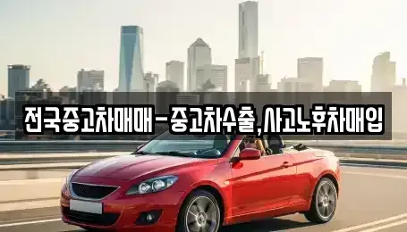 서울특별시 마포구 신공덕동 중고차매입 전문 전국중고차매매-중고차수출,사고노후차매입