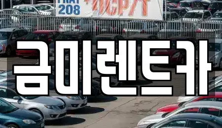 서울특별시 마포구 연남동 렌트카 전문 금미렌트카
