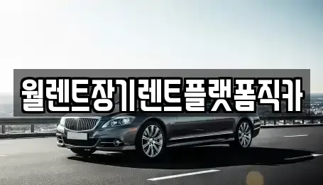 서울특별시 서대문구 북가좌동 장기렌트카 전문 월렌트장기렌트플랫폼직카