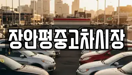 서울특별시 서대문구 북가좌동 중고차매매 전문 장안평중고차시장
