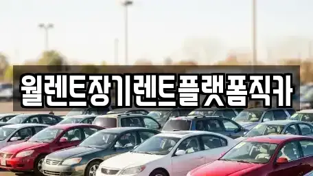 서울특별시 서대문구 홍은동 장기렌트카 전문 월렌트장기렌트플랫폼직카