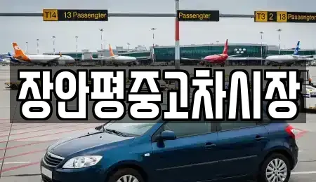 서울특별시 서대문구 홍은동 중고차 전문 장안평중고차시장