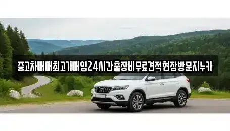 서울특별시 서대문구 홍은동 중고차,렌트카,중고차매입,중고차매매,장기렌트카,단기렌트카
