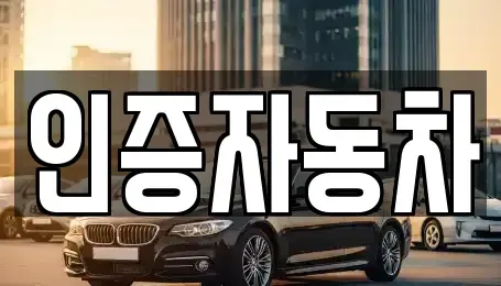 서울특별시 서대문구 홍은동 중고차매매 전문 인증자동차