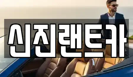 서울특별시 서초구 잠원동 렌트카 전문 신진랜트카