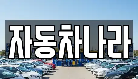 서울특별시 서초구 잠원동 중고차,렌트카,중고차매입,중고차매매,장기렌트카,단기렌트카