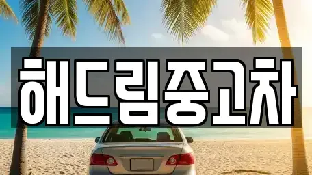 서울특별시 서초구 잠원동 중고차 전문 해드림중고차