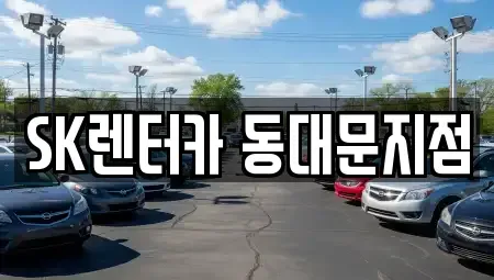 서울특별시 성동구 금호동2가 렌트카 전문 SK렌터카 동대문지점