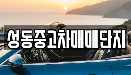 서울특별시 성동구 금호동2가 중고차 전문 성동중고차매매단지