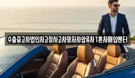 서울특별시 성동구 금호동2가 중고차매매 전문 수출중고차법인차고장사고차망자차압류차1톤차매입센터