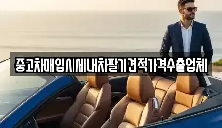서울특별시 성동구 금호동2가 중고차매입 전문 중고차매입시세내차팔기견적가격수출업체