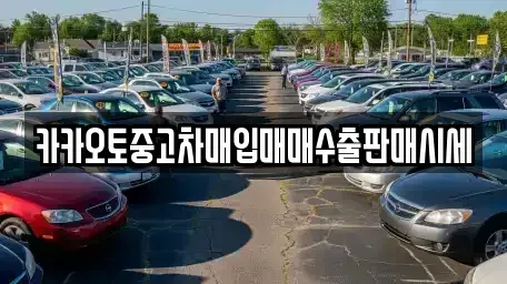 서울특별시 성동구 금호동2가 중고차매입 전문 카카오토중고차매입매매수출판매시세