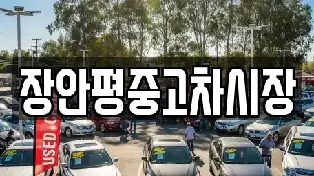 서울특별시 성북구 동소문동1가 중고차 전문 장안평중고차시장