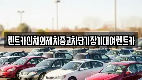 서울특별시 송파구 문정동 단기렌트카 전문 렌트카신차외제차중고차단기장기대여렌트카