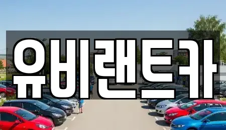 서울특별시 송파구 문정동 단기렌트카 전문 유비랜트카