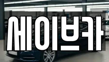 서울특별시 송파구 문정동 장기렌트카 전문 세이브카