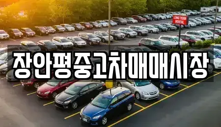 서울특별시 송파구 문정동 중고차 전문 장안평중고차매매시장