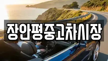 서울특별시 송파구 문정동 중고차 전문 장안평중고차시장