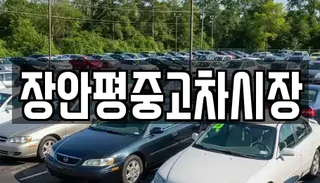 서울특별시 용산구 도원동 중고차매매 전문 장안평중고차시장