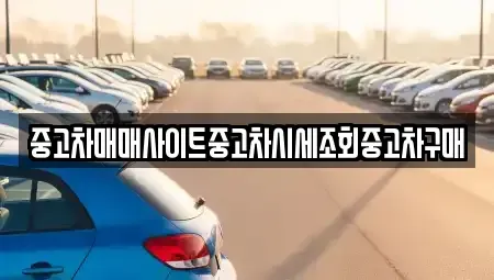서울특별시 용산구 도원동 중고차매매,단기렌트카,중고차매입,장기렌트카,중고차,렌트카