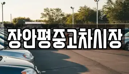 서울특별시 용산구 산천동 중고차 전문 장안평중고차시장