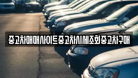 서울특별시 용산구 산천동 중고차 전문 중고차매매사이트중고차시세조회중고차구매