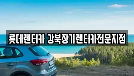 서울특별시 용산구 서계동 렌트카 전문 롯데렌터카 강북장기렌터카전문지점