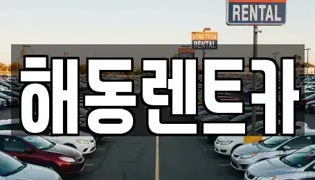 서울특별시 용산구 서계동 렌트카 전문 해동렌트카