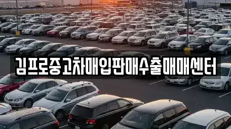 서울특별시 용산구 서계동 중고차매입 전문 김프로중고차매입판매수출매매센터