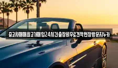 서울특별시 용산구 서계동 중고차매입 전문 중고차매매최고가매입24시간출장비무료견적현장방문지누카