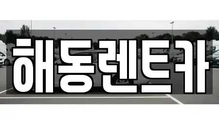 서울특별시 용산구 용산동1가 렌트카 전문 해동렌트카