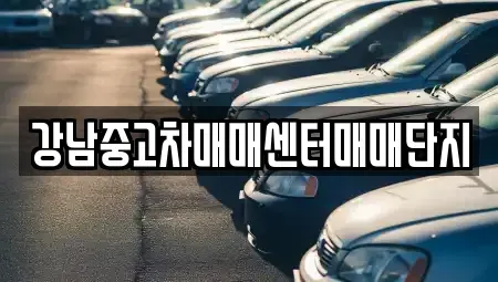 서울특별시 용산구 용산동1가 중고차매매 전문 강남중고차매매센터매매단지