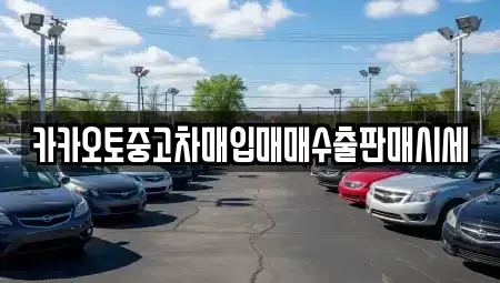 서울특별시 용산구 용산동1가 중고차매입 전문 카카오토중고차매입매매수출판매시세