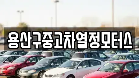 서울특별시 용산구 용산동2가 중고차매매 전문 용산구중고차열정모터스