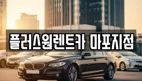 서울특별시 용산구 원효로4가 렌트카 전문 플러스원렌트카 마포지점